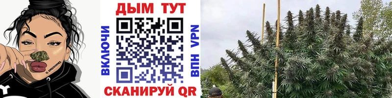 Купить наркотики сайты Кулебаки Амфетамин  Бошки Шишки  Меф  Гашиш 