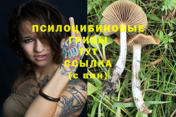 кокаин колумбия Козловка