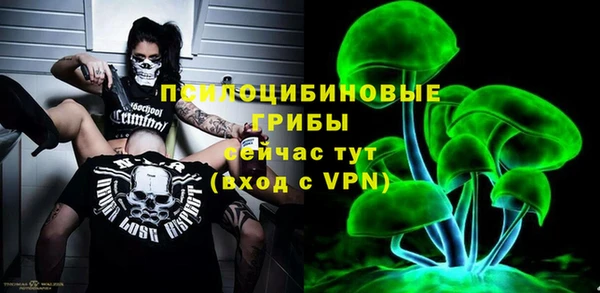 гашик Коряжма