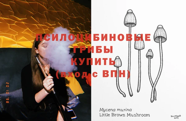 герыч Кодинск