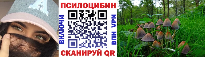 закладки Кулебаки Псилоцибиновые грибы мицелий