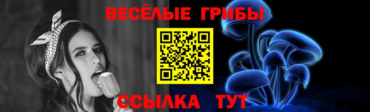 Кулебаки  Псилоцибиновые грибы мухоморы  Вход с VPN 